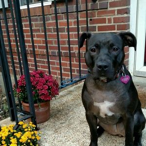 Meet your Posher, Meika